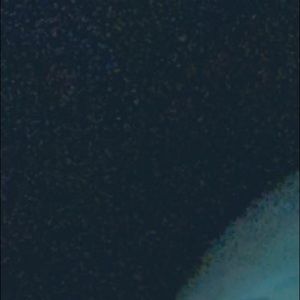 Meet your Posher, Kortney